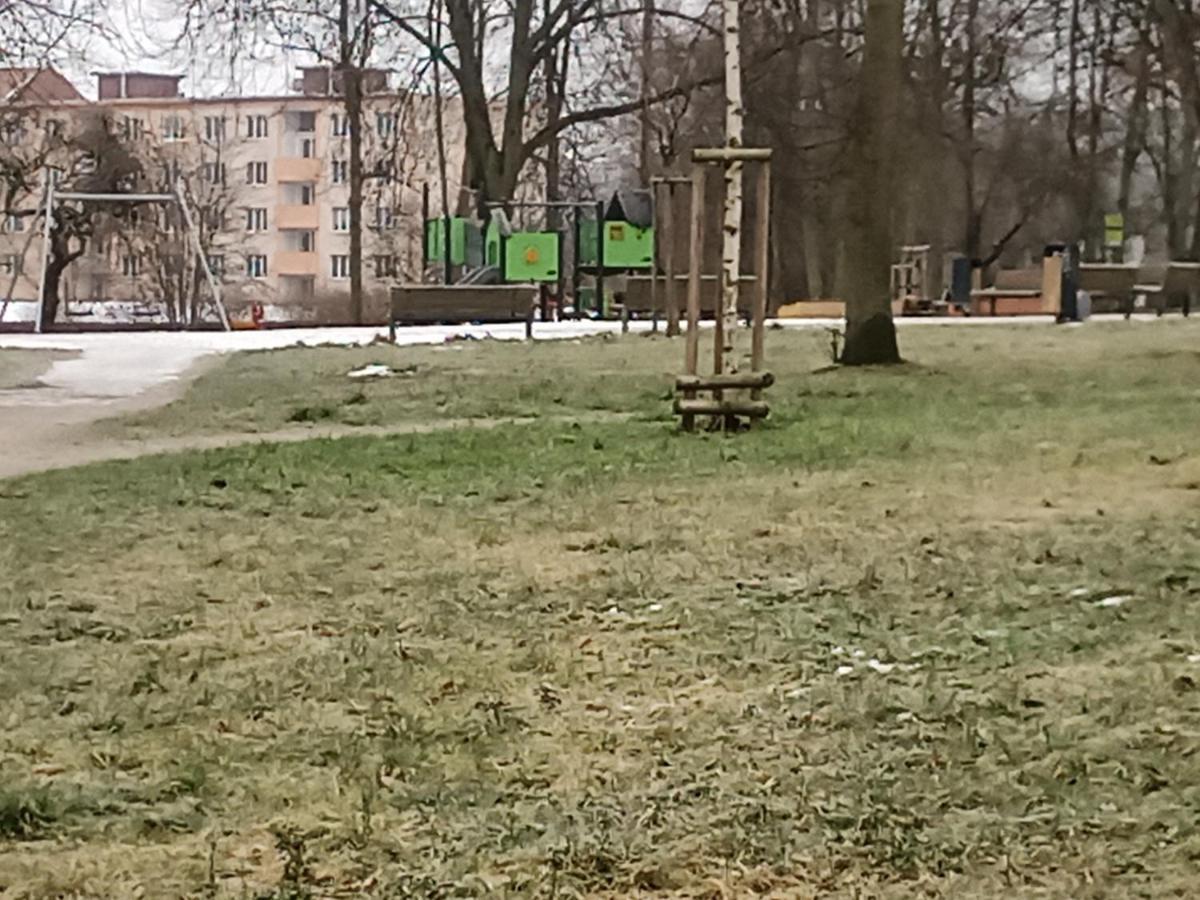 Na Cervene Louce Apartman Cheb Apartment Bagian luar foto